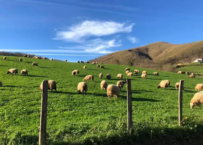 D'hotes Etche Iza Vendégház